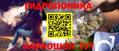 МДПВ Можга