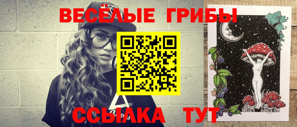 Чебаркуль  Галлюциногенные грибы Cubensis  Вход с VPN  Псилоцибиновые грибы прущие грибы 